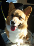 DSC02246.jpg