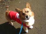 DSC02221.jpg