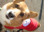 DSC02219_20091122004427.jpg