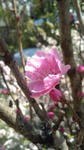 20120401135345.jpg