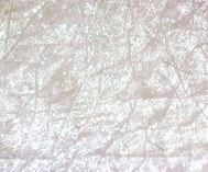 konno20100802-kuma.jpg