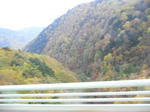 P1000509.JPG