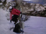 20090308190159.jpg