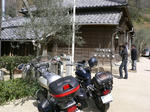 P1000675.JPG