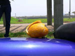 P1000746.JPG