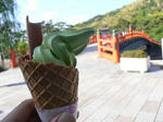 P1010197.JPG