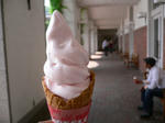 P1010201.JPG