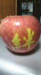 rinngo