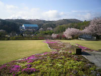 p-IMGP0265.jpg