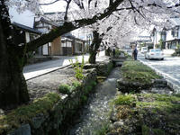 p-IMGP0275.jpg