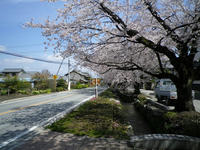 p-IMGP0276.jpg