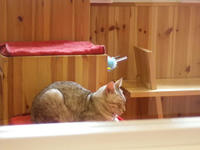 p-IMGP0298.jpg