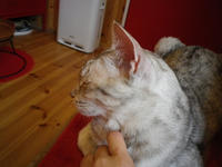 p-IMGP0306.jpg