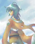 p-houshin04.jpg
