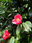 7972ec7d.jpeg