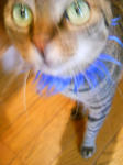5726cfe7.jpeg
