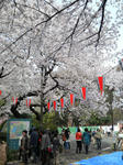 f90d8884.jpeg