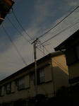 72315f08.jpeg