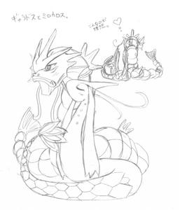 ギャラドスとミロカロス