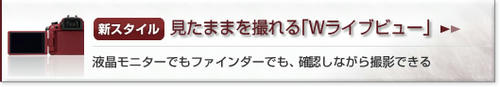 point02_f2.jpg