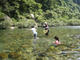 鮎の友釣り体験