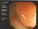 bd1f2a32.jpg