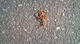 DSC_0165.jpg
