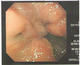 785f2f04.jpg
