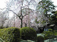 f09e6ba3.jpg