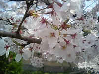06abd970.jpg