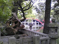 d83f14f7.jpg