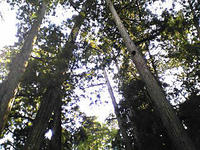 334e91c6.jpg