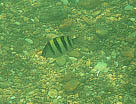 b703d91d.jpg
