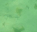 bd910236.jpg