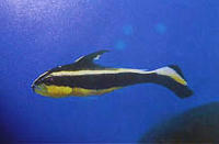 e514806c.jpg