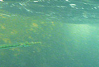 61b29e85.jpg