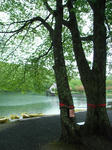 R0020333s.jpg