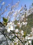 DVC00103.jpg