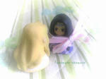present01.jpg