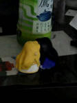 20110314164143.jpg