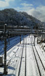 20120124_01.jpg