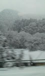 20120124_02.jpg