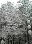 0301.JPG