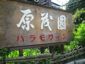 a5490d97.jpg