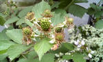 120520_121503.jpg