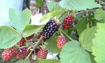 120622_153906.jpg