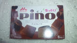 110129_pino.jpg