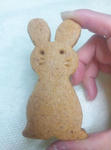 cookie02.jpg