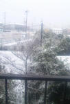 130114_snow.jpg
