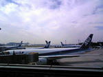 narita_2009_05_18.jpg